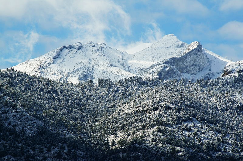 Qué ver en el Parque Natural de la Sierra de las Nieves