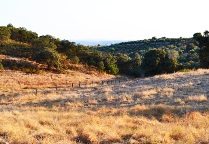 Ruta de senderismo por la Sierra de Cardeña y Montoro