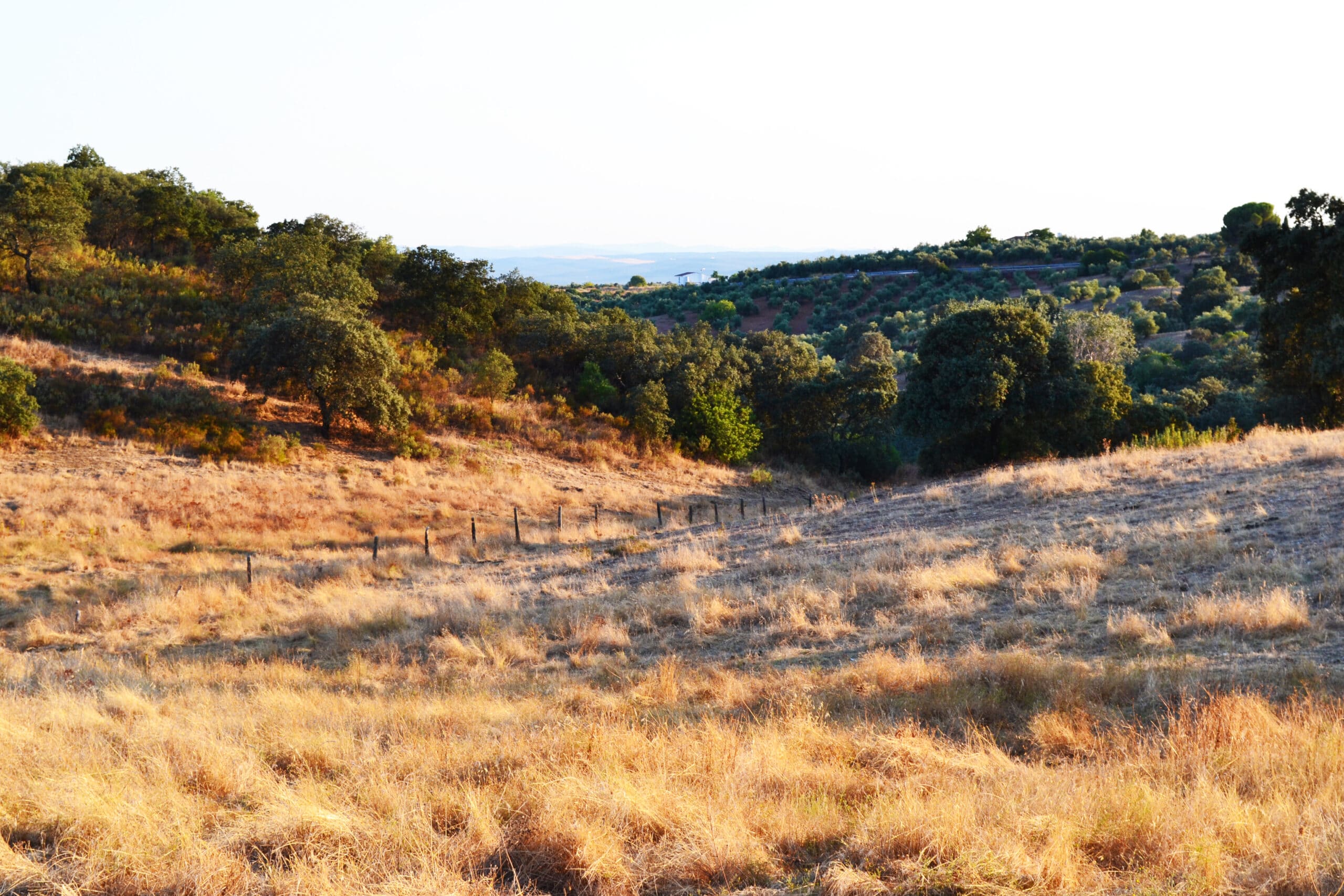 Sendero señalizado Aldea Cerezo - Venta del Charco