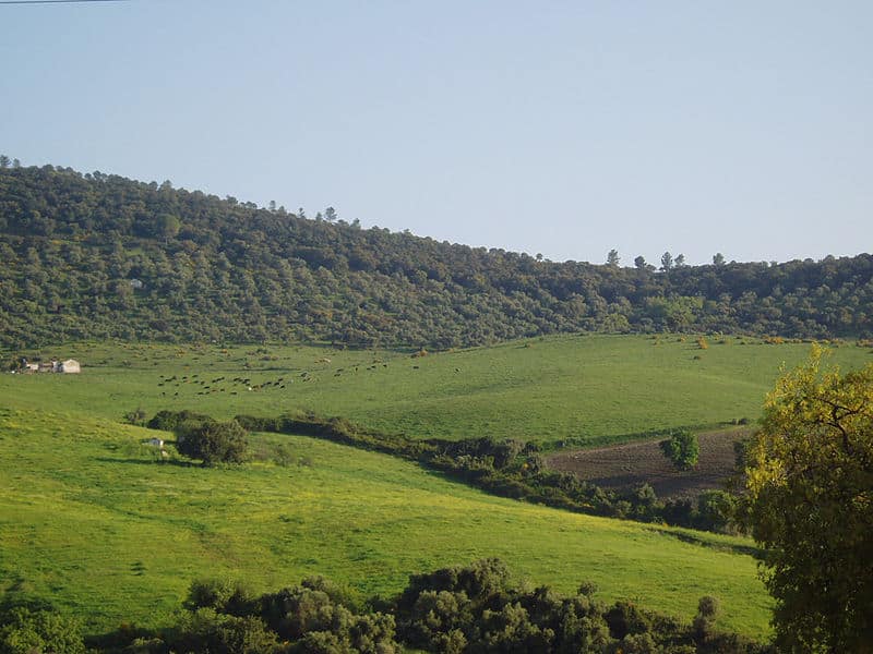 Vías Verdes en Andalucía de largo recorrido