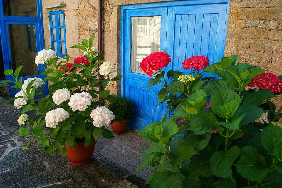 Casa Perfeuto Maria - Imagen 15