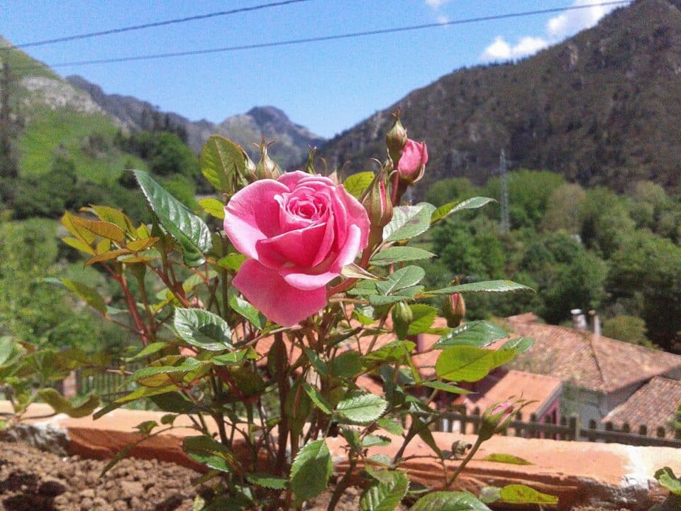 Casa Rural El Trechal - Imagen 18