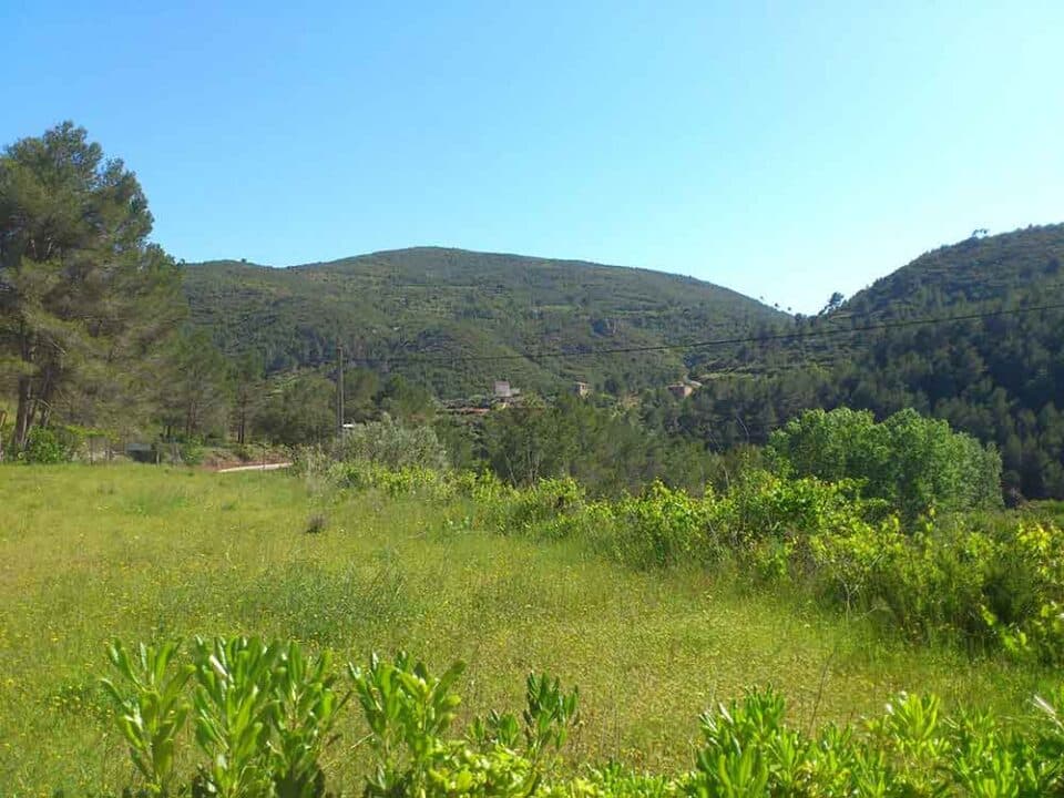 Complejo rural Mas de la Pinaeta - Casa Aloe - Imagen 15