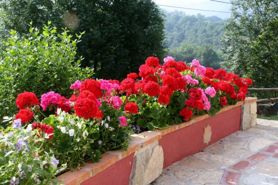 Casa Rural El Trechal - Imagen 30