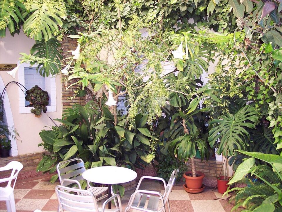 Hotel con encanto en Lanjarón - Imagen 2
