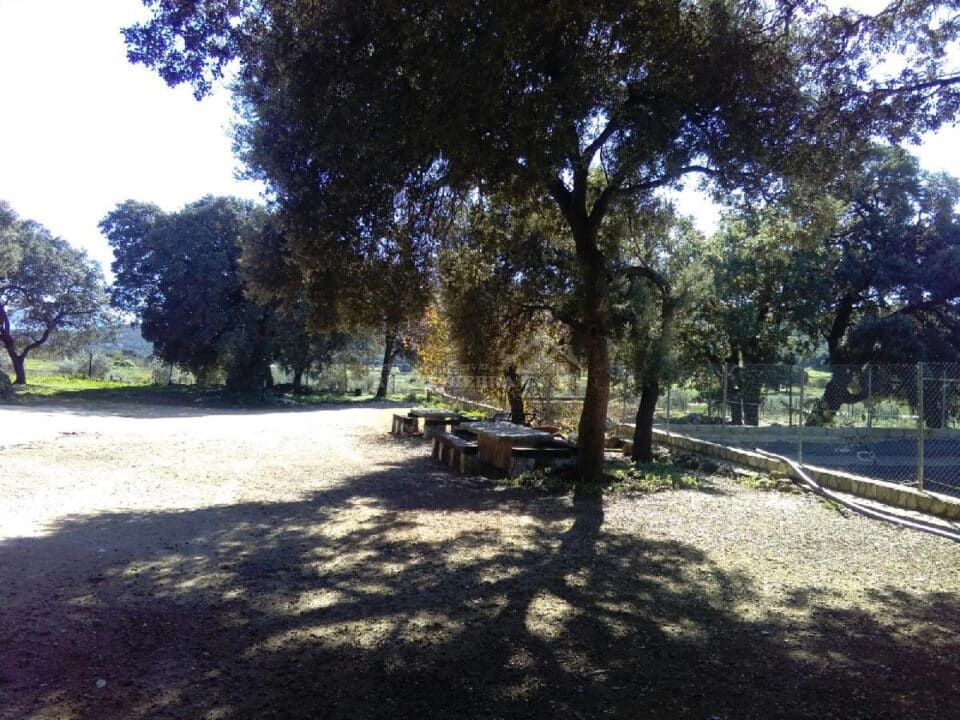 Zona de barbacoa Casa rural en Alfarnate (Málaga)-3516