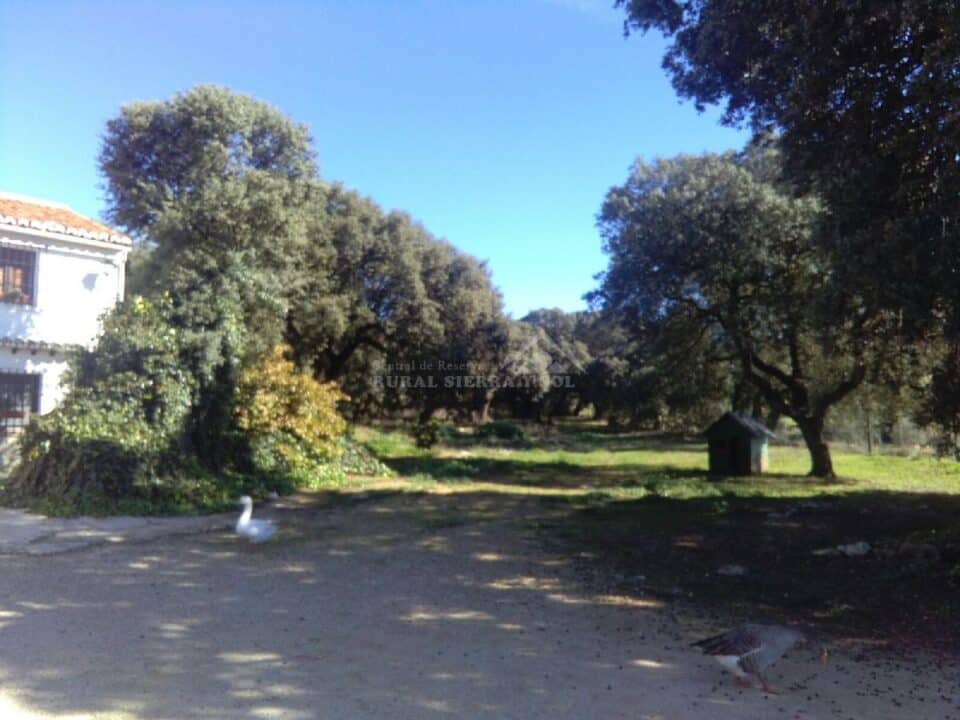 Exteriores de Casa rural en Alfarnate (Málaga)-3516