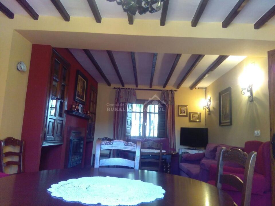 Salón con TV de Casa rural en Alfarnate (Málaga)-3516