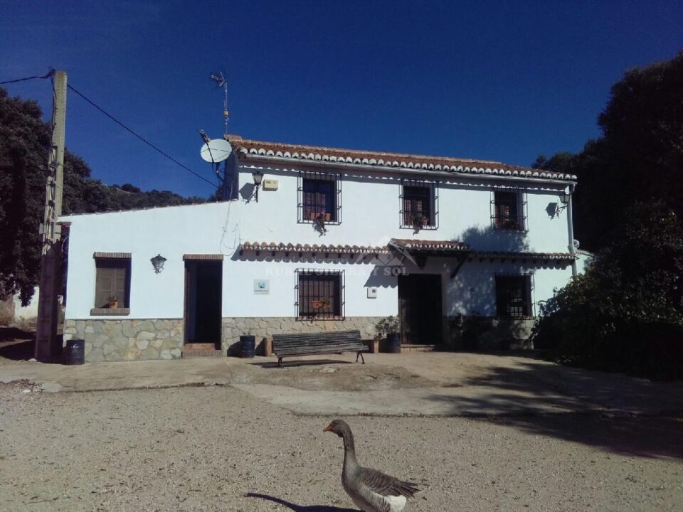 Terraza de Casa rural en Alfarnate (Málaga)-3516