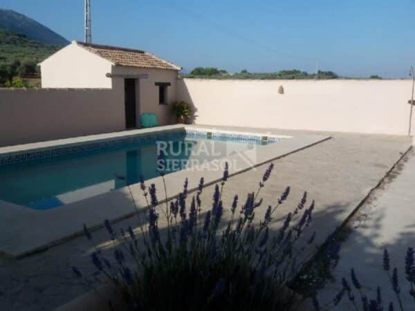 Piscina de casa rural en Loja (Granada) referencia 4084