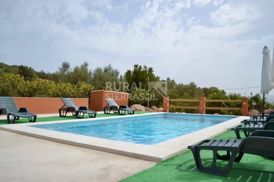 Piscina y hamacas de casa rural en Periana (referencia 4100)