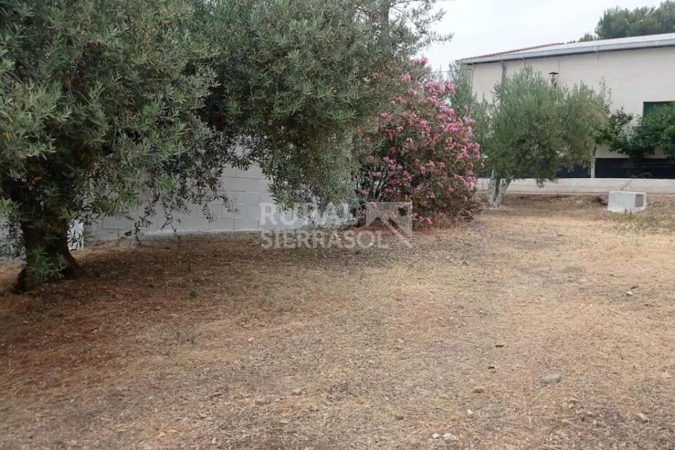 Campo de casa rural en Íllora (Granada) referencia 4097