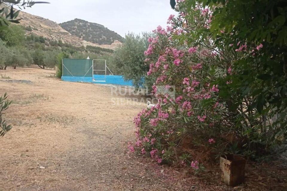 Alrededores de casa rural en Íllora (Granada) referencia 4097