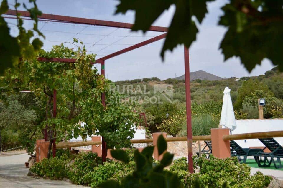 Piscina y sierra de casa rural en Periana (referencia 4100)