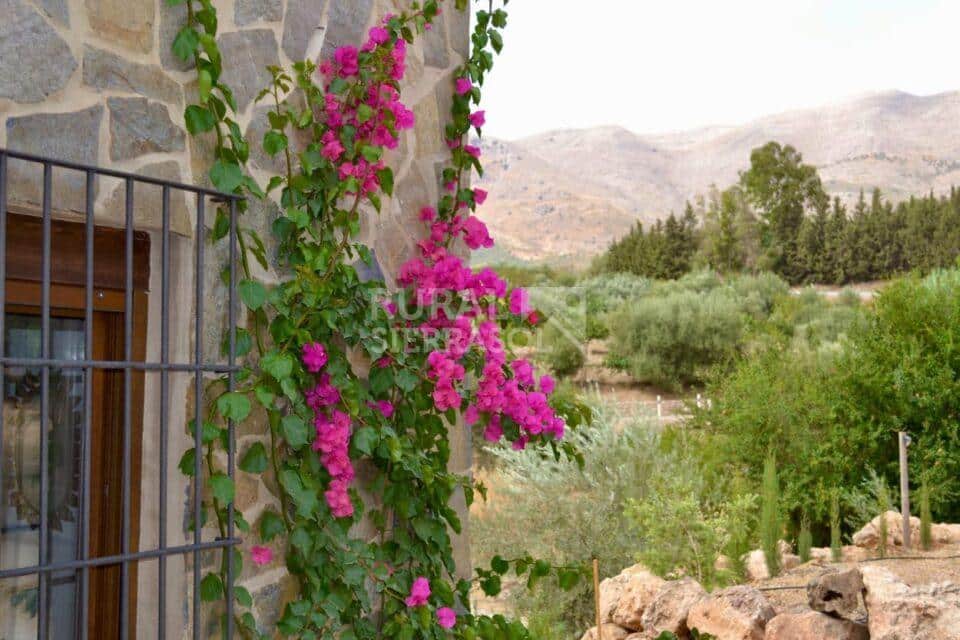Fachada con flores de casa rural en Periana (referencia 4100)