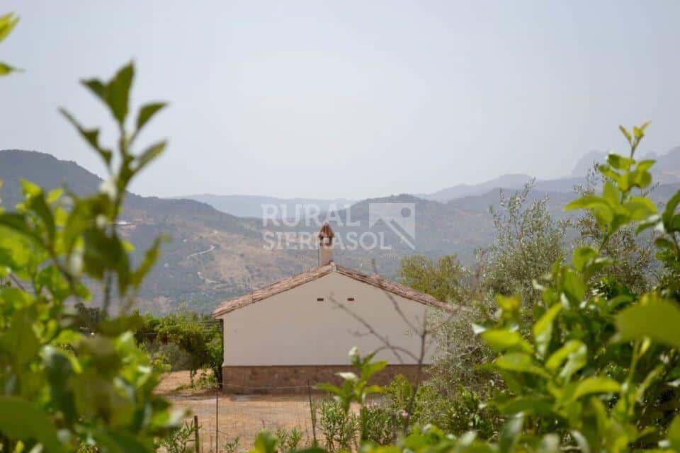 Vista de lejos de casa rural en Periana (referencia 4100)