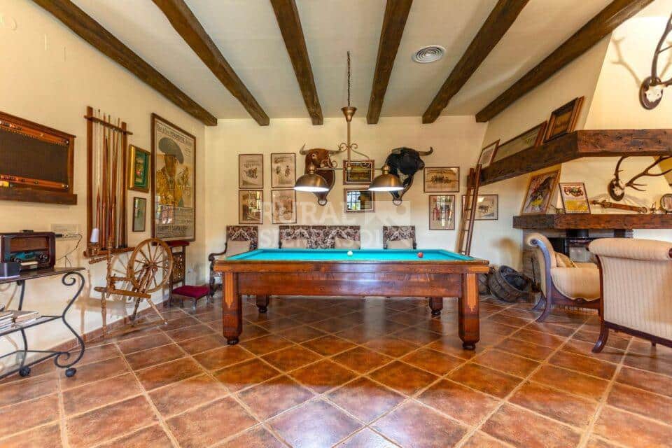 Mesa de billar de casa rural en Alcaucín (Málaga) referencia 4105
