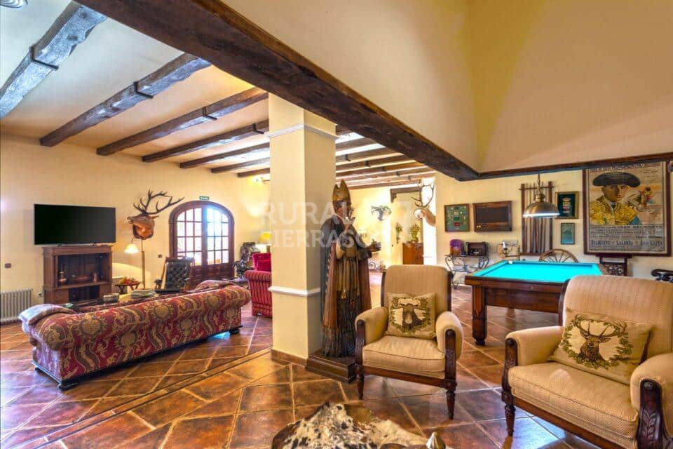 Salón con estatua de casa rural en Alcaucín (Málaga) referencia 4105