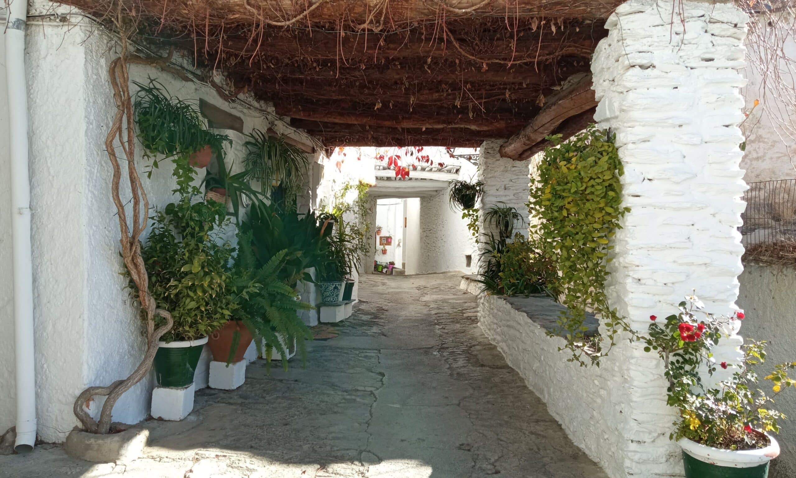 Calle y arquitectura tradicional de Capileira