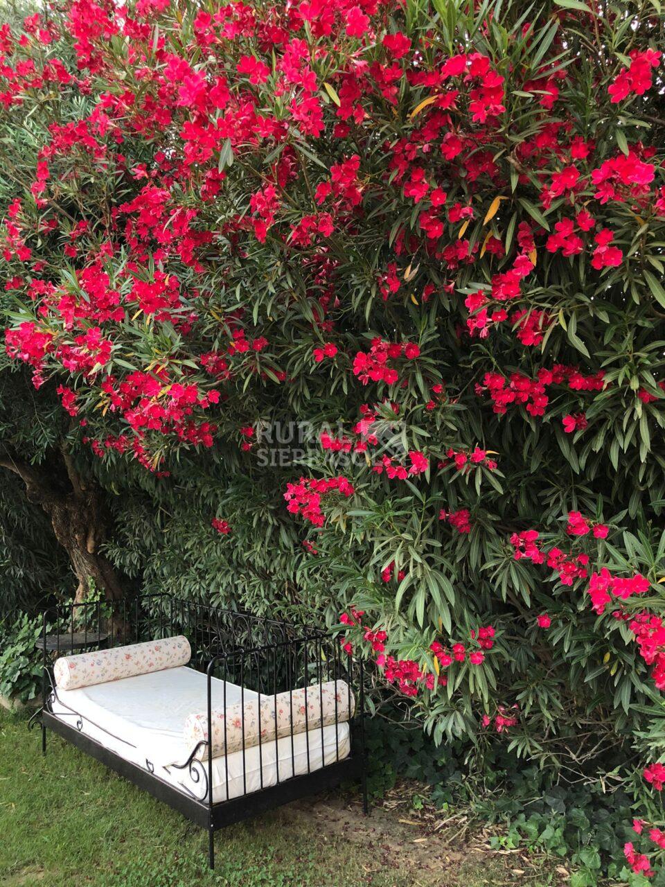Pequeño sofá de jardín de casa rural en Villamartín (Cádiz) referencia 4092