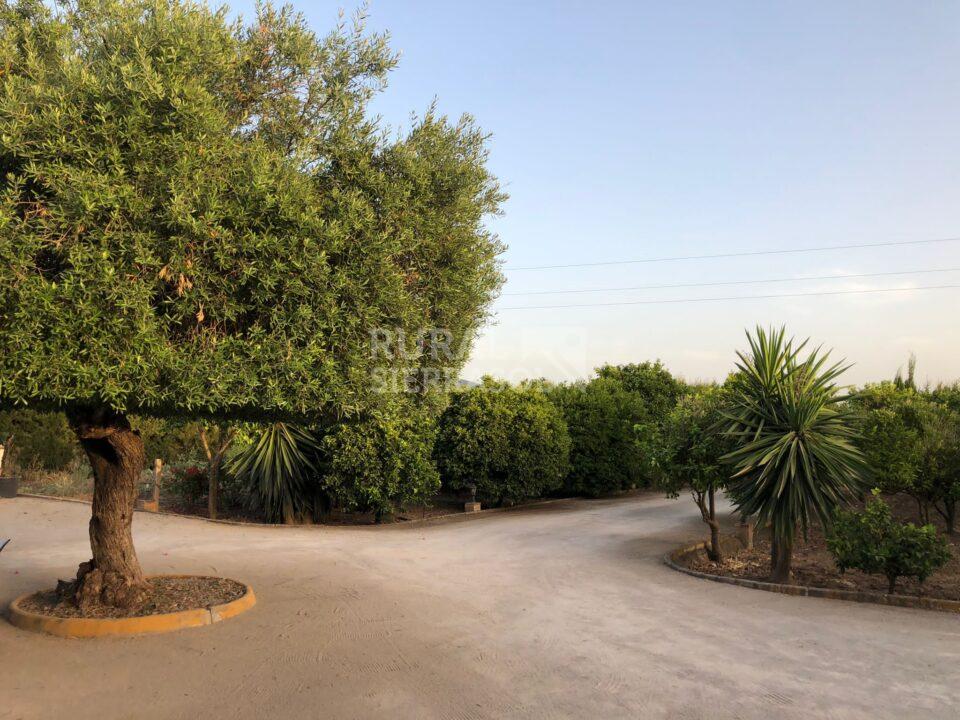Camino de casa rural en Villamartín (Cádiz) referencia 4092