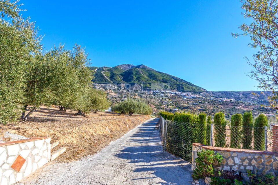Camino de casa rural en Alcaucín (Málaga) referencia 4106