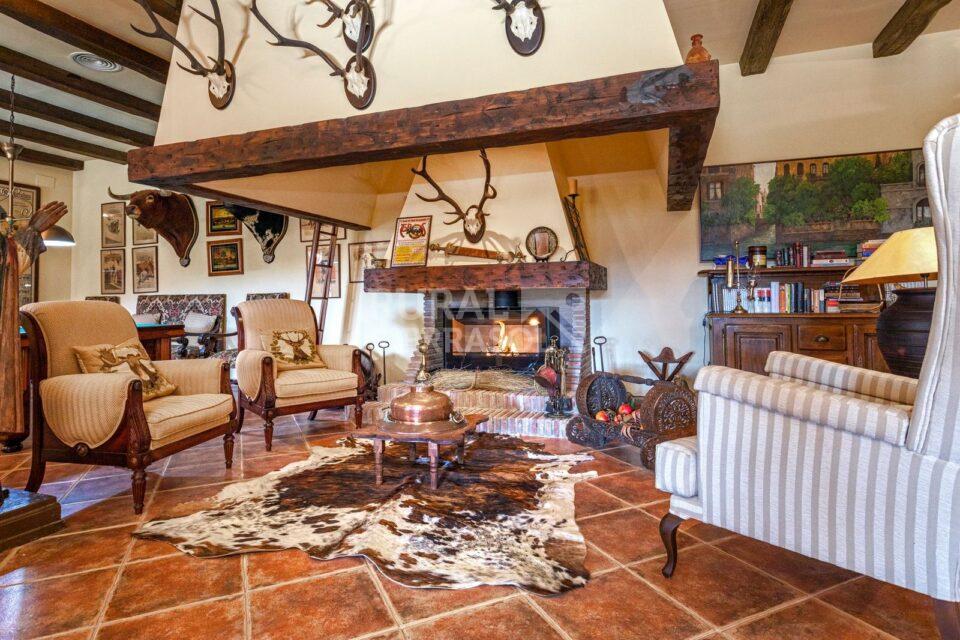 Chimenea y sillones de casa rural en Alcaucín (Málaga) referencia 4105