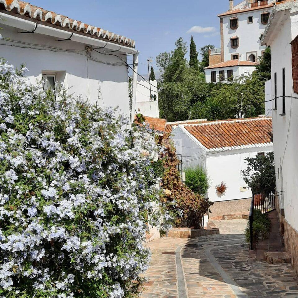 Calle de casa rural en Triana (Vélez-Málaga, Málaga) referencia 4123