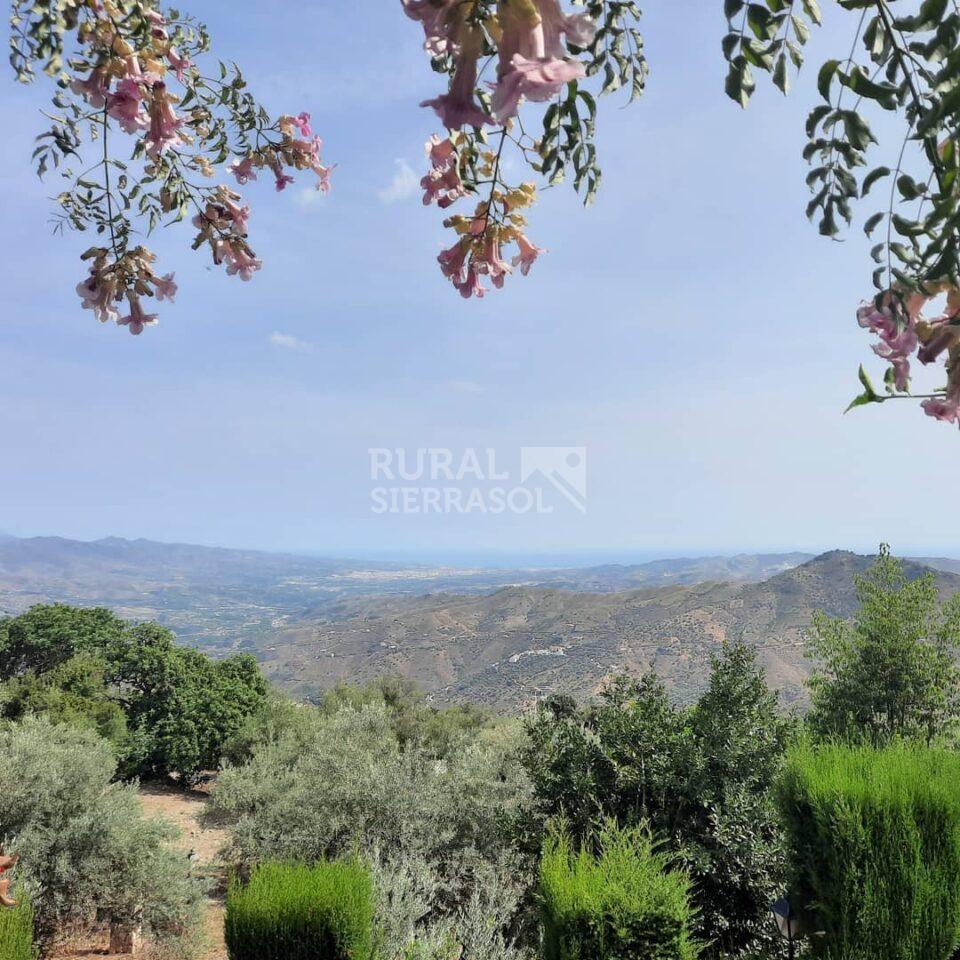 Vista de casa rural en Triana (Vélez-Málaga, Málaga) referencia 4123