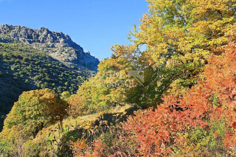 Entorno natural de casa rural en Júzcar (Málaga) referencia 3538
