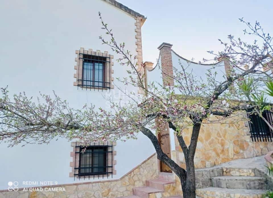 Árbol de casa rural en Benaoján (Málaga) referencia 4118