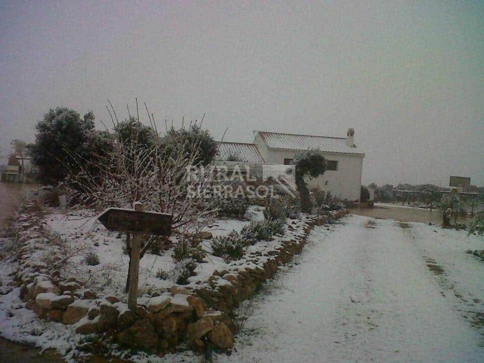Camino nevado de casa rural en Freila (Granada) referencia 0220