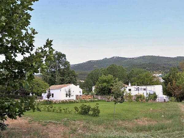 Exterior de casa rural en El Bosque (Cádiz) referencia 0608