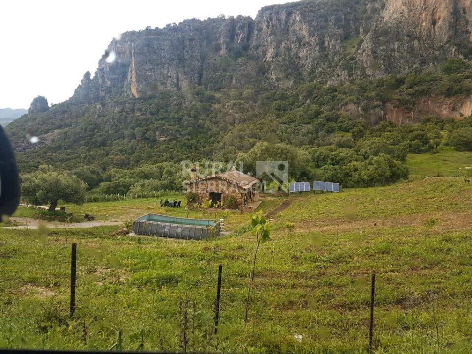 Entorno de casa rural en Ubrique (Cádiz) referencia 524