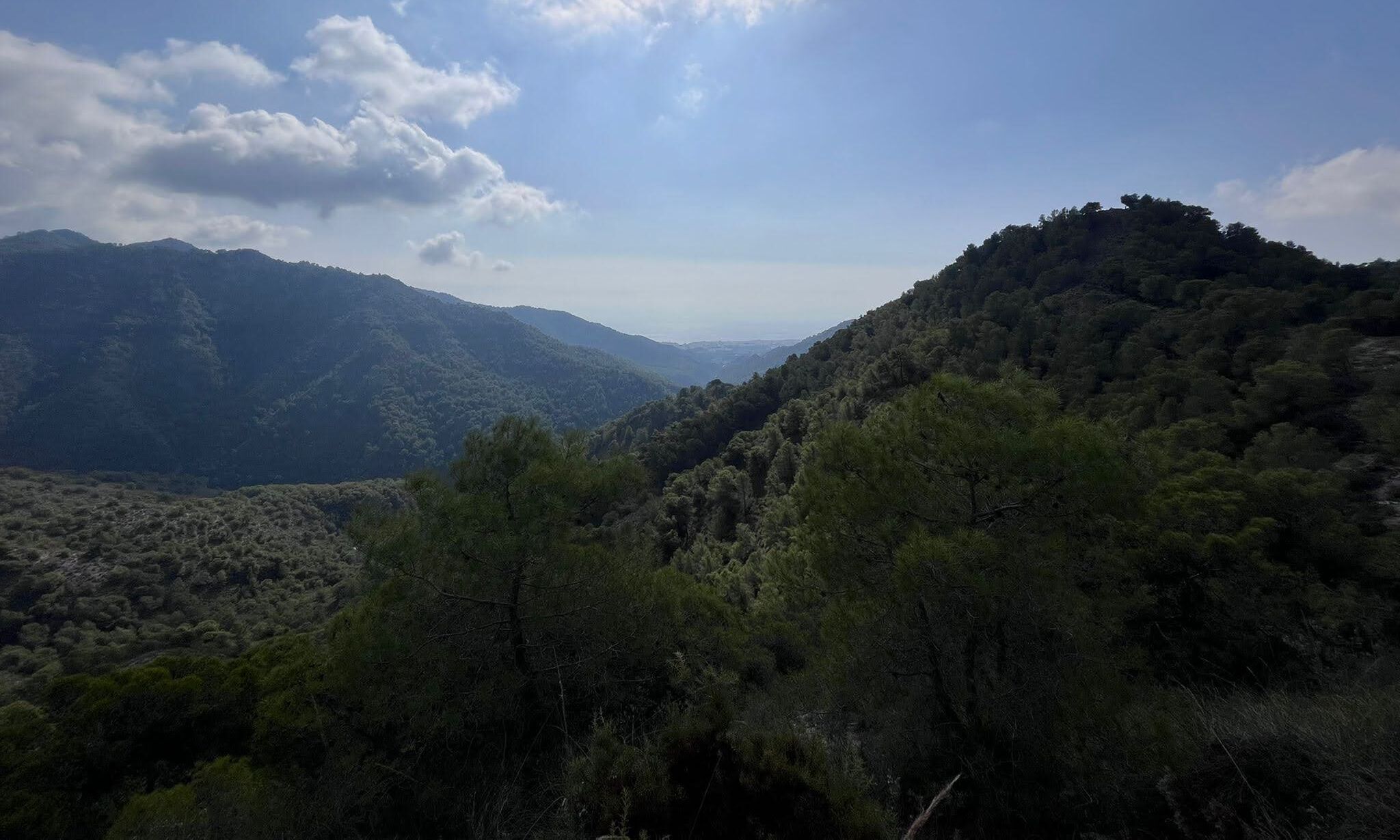 Entorno natural de la Sierra de Almijara