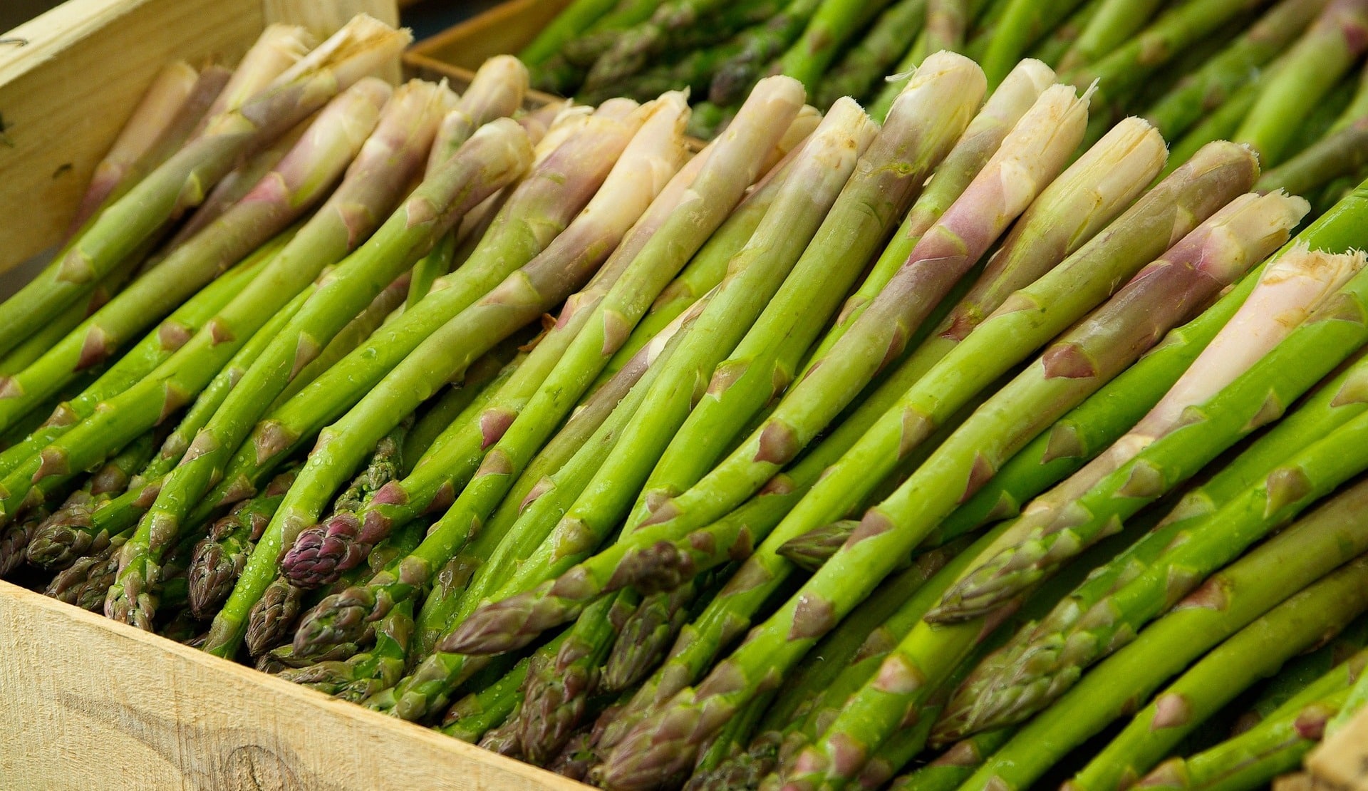 Espárragos de la cocina de huerta de Arcos de la Frontera