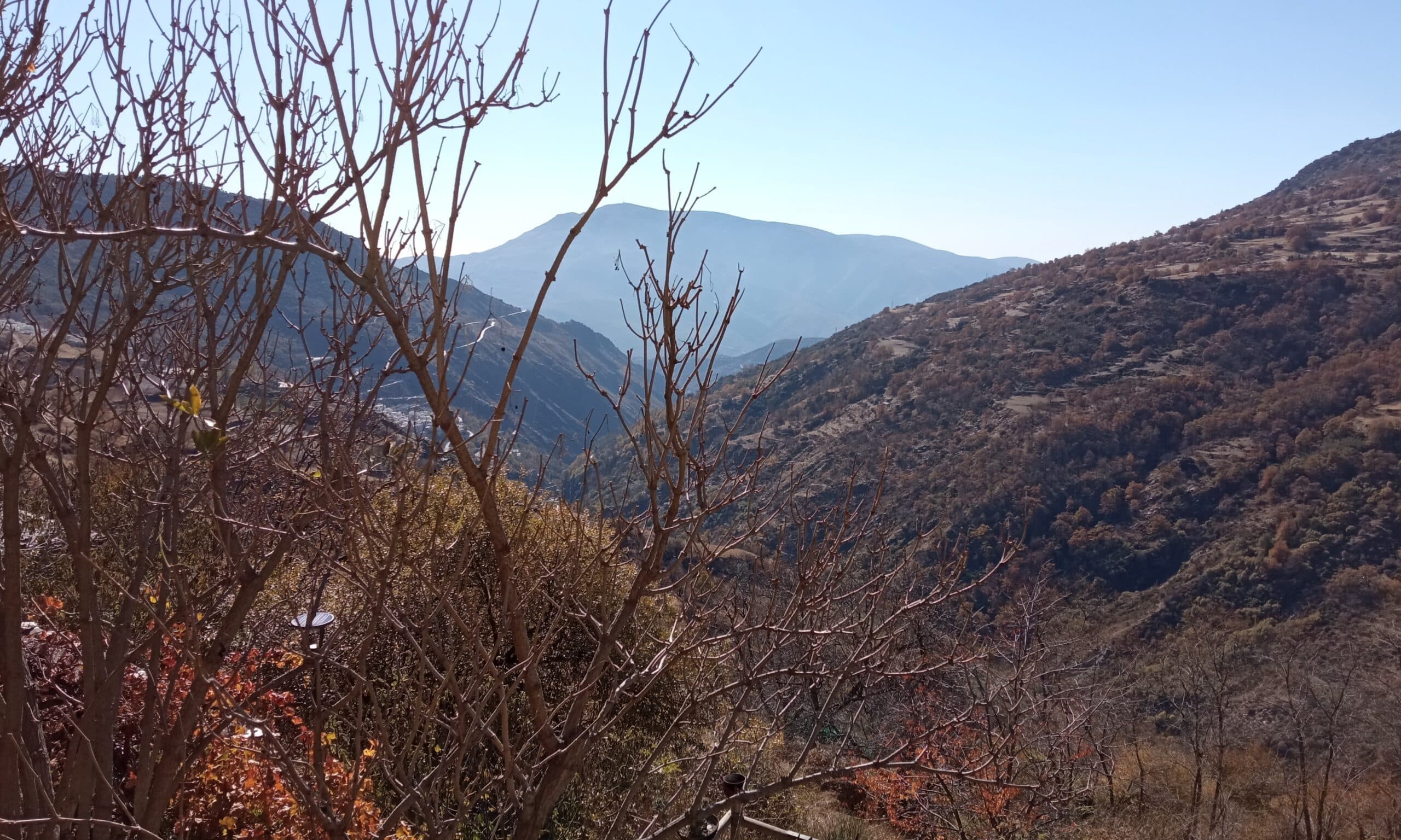 Vista desde un mirador desde el que enamorarte de Capileira