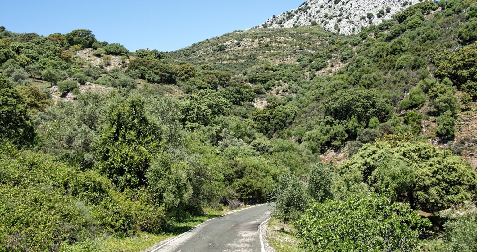 Ruta hacia el pinsapar de Grazalema