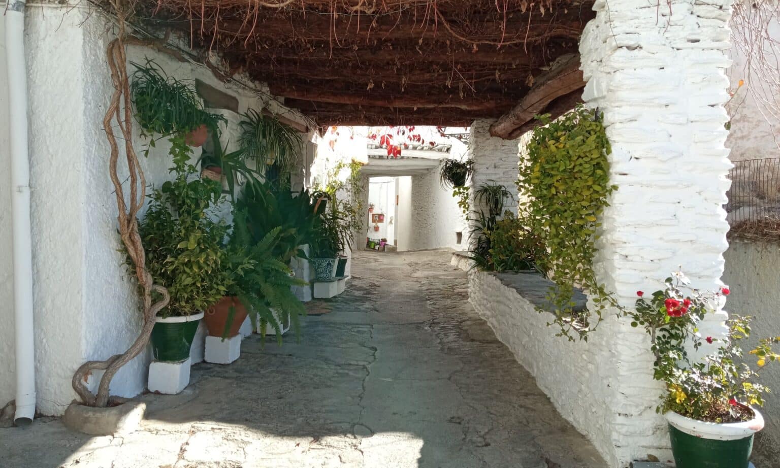 Tinao decorado de la Alpujarra