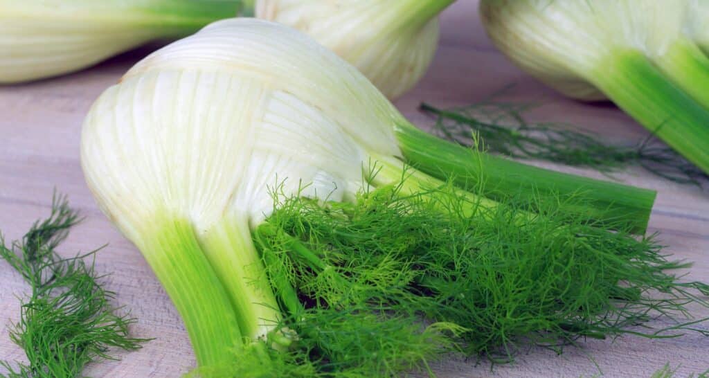 Hinojos de la gastronomía típica de Frigiliana