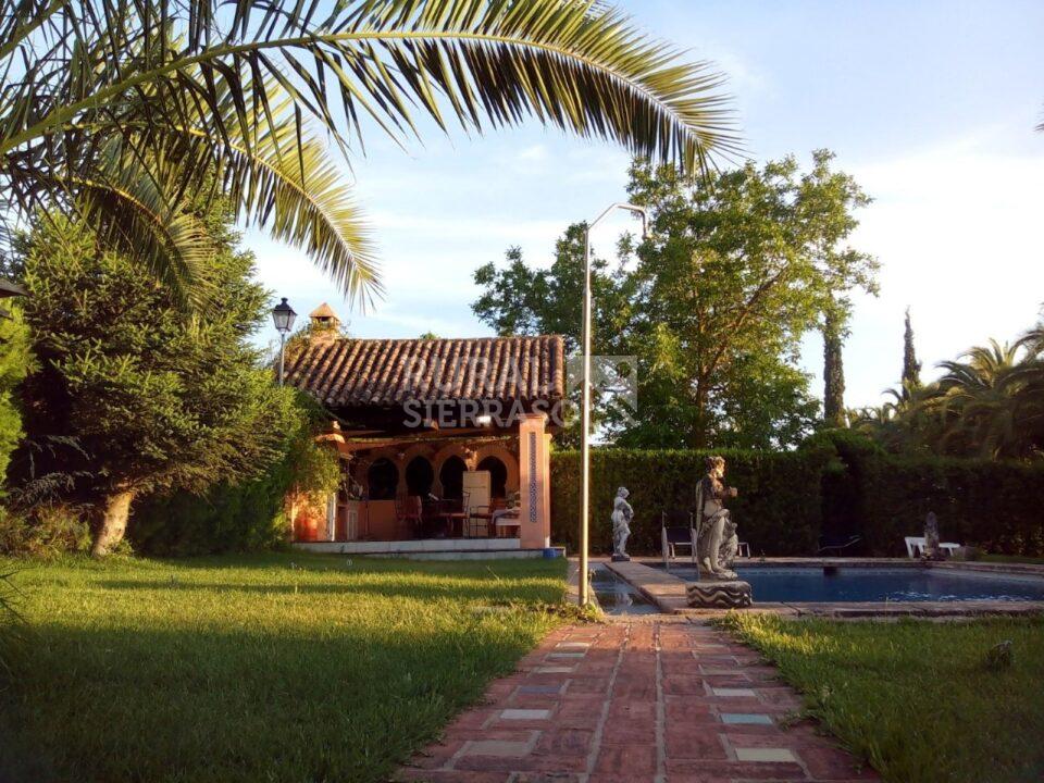 Piscina y barbacoa de Casa rural en Arriate (Málaga)-4139