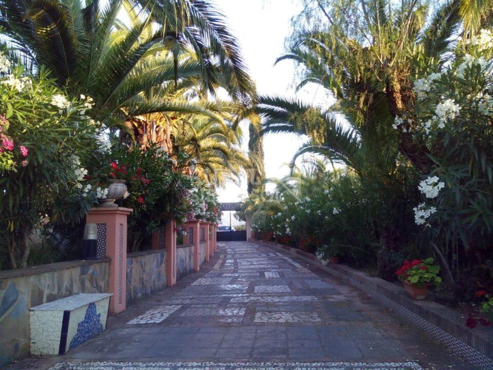 Entrada a finca de Casa rural en Arriate (Málaga)-4139