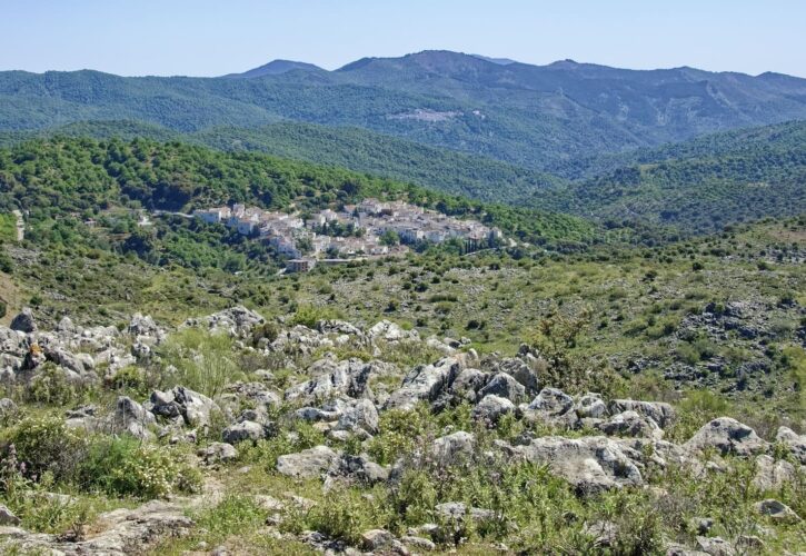 Bosque Encantado de Parauta, una ruta mágica