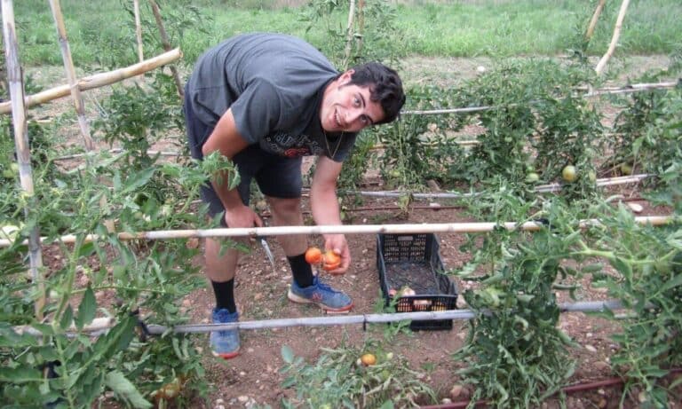 Fundador de InspiraRural en el huerto con tomates llevando a cabo el agroturismo - Rural Sierra Sol