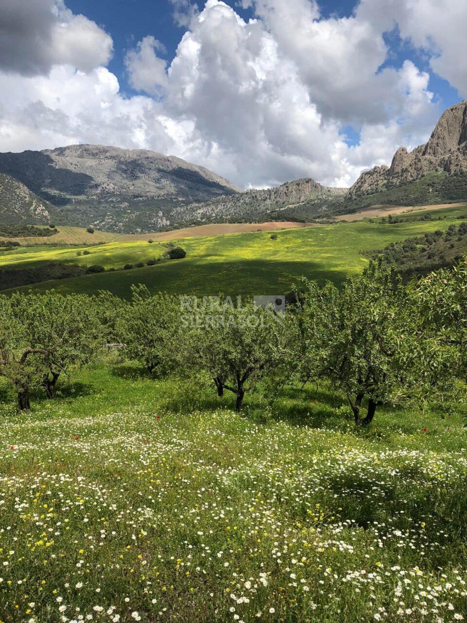 Paisaje de Casa rural en Riogordo (Málaga)-4143