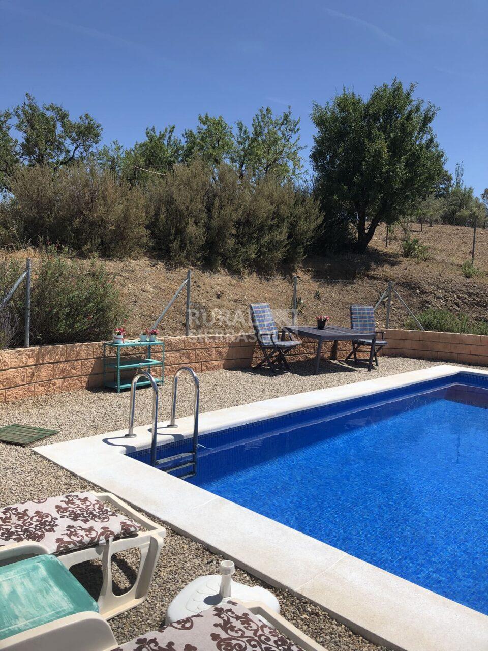 Piscina de Casa rural en Riogordo (Málaga)-4143