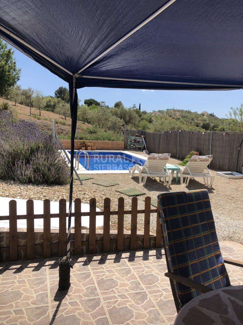 Piscina y tumbonas de Casa rural en Riogordo (Málaga)-4143