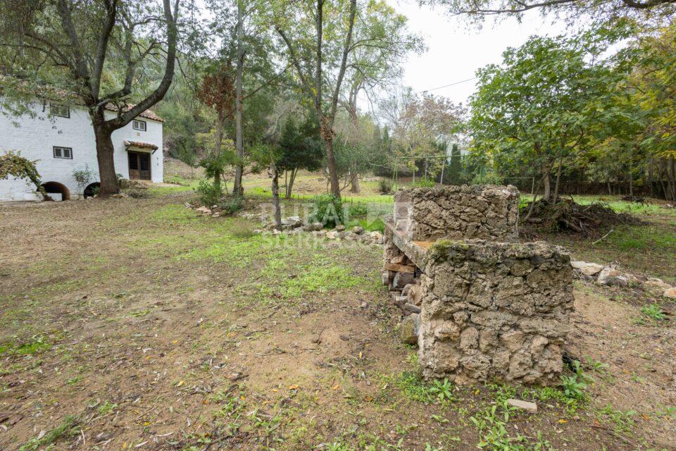 Exteriores de Casa rural en Chilluevar (Jaén)-2145