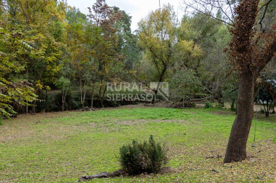 Entorno de Casa rural en Chilluevar (Jaén)-2145