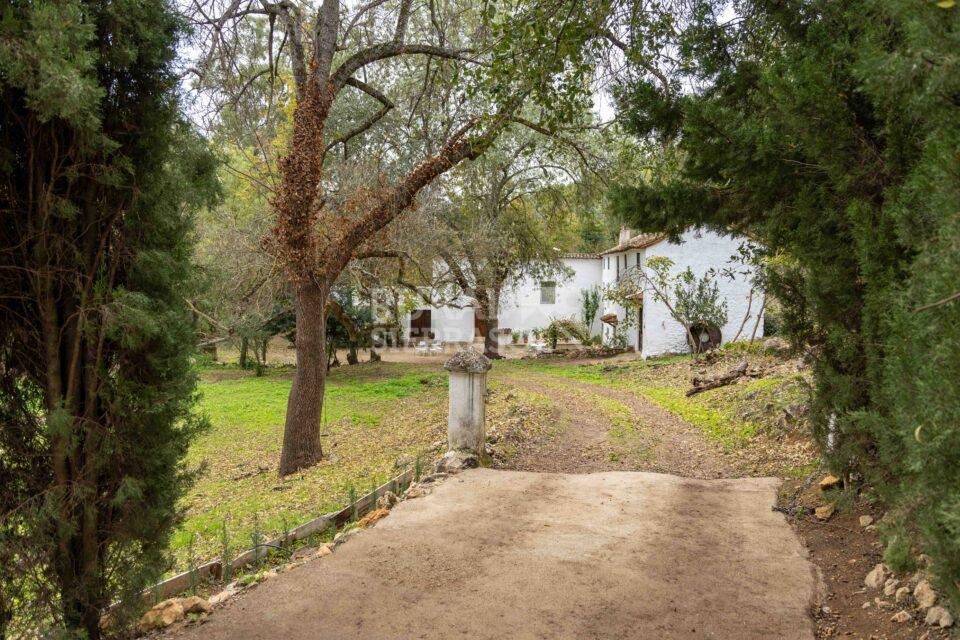 Exteriores de Casa rural en Chilluevar (Jaén)-2145